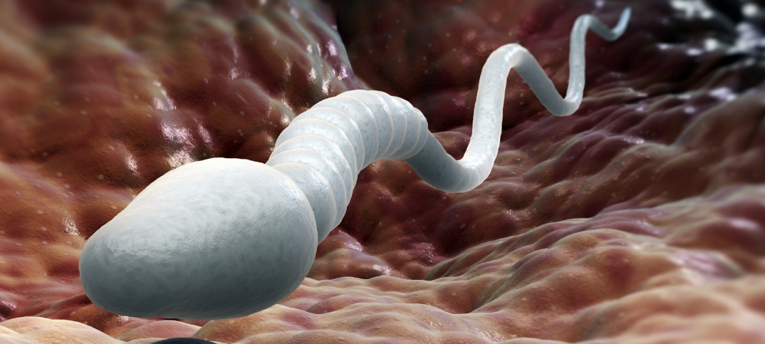 Est Ce Que Le Sperm Est Illimité Votre sperme et spermatozoïdes ne sont pas en bonne santé?